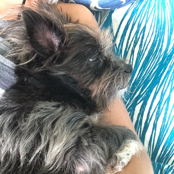 Meet your Posher, Katie - Picture 1 of 1